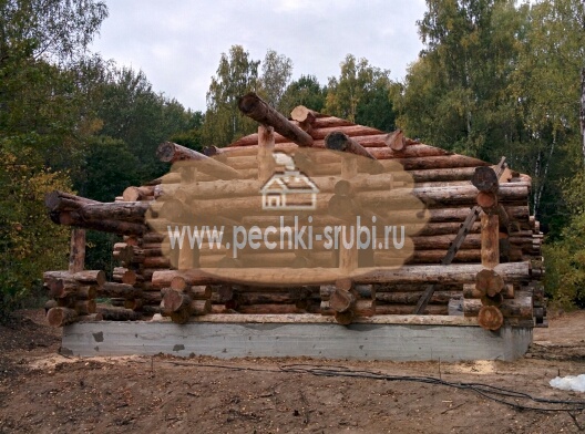 Дикий сруб. Ручная рубка сруба гостевой избы-бани с пирсом из кругляка большого диаметра в Диком стиле под золотистую сосну (кедр) Москва, Калуга, Тула Дикий сруб. Ручная рубка сруба гостевой избы-бани с пирсом из кругляка большого диаметра в Диком стиле под золотистую сосну (кедр) Москва, Калуга, Тула